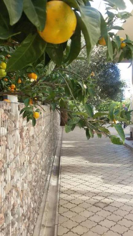 Residence Bella Budva Zewnętrze zdjęcie